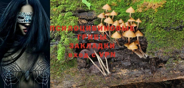 2c-b Карталы