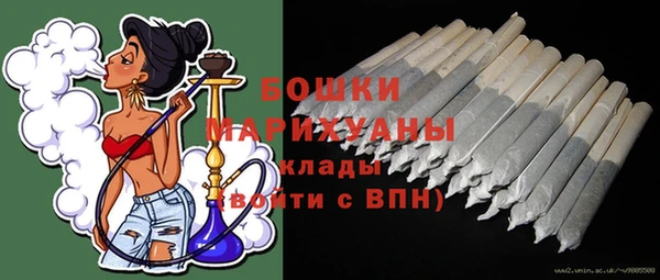 крисы Касимов
